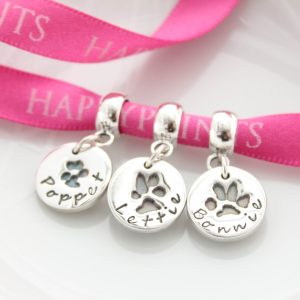 Pawprint Dainty Charm on Carrier